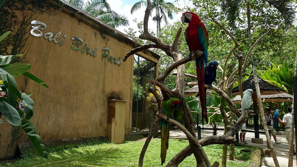 Tiket Masuk Bali Bird Park